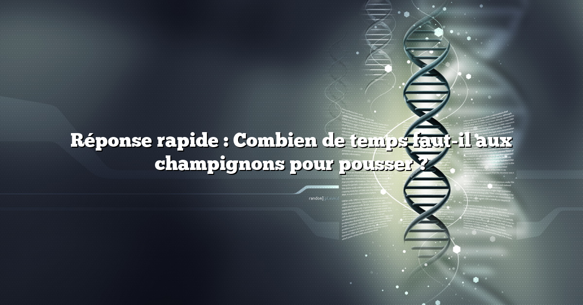 Réponse rapide : Combien de temps faut-il aux champignons pour pousser ?